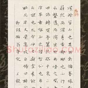 王毅夫(少儿组 12岁 铜奖)硬笔书法大赛 获奖作品图片欣赏