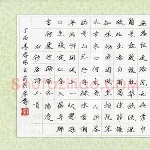 陈芸芸(少儿组 13岁 优秀奖)硬笔书法大赛 获奖作品图片欣赏