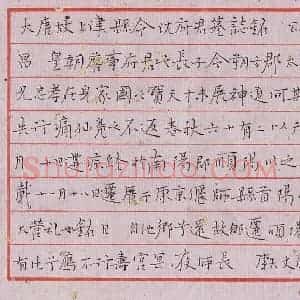谭文选 硬笔楷书作品《沈府君墓志铭》图片欣赏