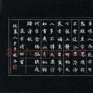 陈晨(少儿组 8岁 优秀奖)硬笔书法大赛 获奖作品图片欣赏