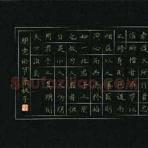 林子(少儿组 11岁 优秀奖)硬笔书法大赛 获奖作品图片欣赏