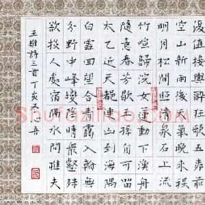 金熙俊 硬笔楷书作品《王维诗三首》图片欣赏