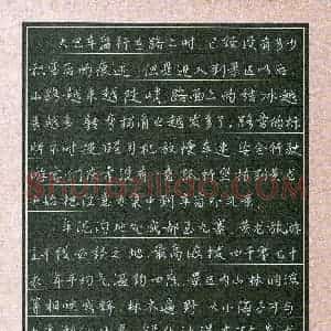 陈之祎(少儿组 11岁 银奖)硬笔书法大赛 获奖作品图片欣赏