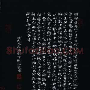 舒勇(成人组 优秀奖)硬笔书法大赛 获奖作品图片欣赏