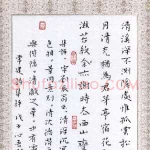 金熙俊 硬笔楷书作品《常建诗集评》图片欣赏