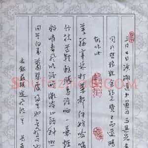 李长青 硬笔行书作品《苏轼定风波一首》图片欣赏