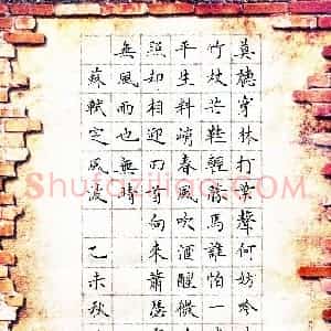 魏运(少儿组 17岁 银奖)硬笔书法大赛 获奖作品图片欣赏