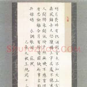 王纯玥(少儿组 13岁 银奖)硬笔书法大赛 获奖作品图片欣赏