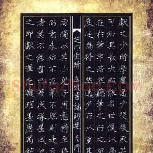 吴伟 硬笔楷书作品《东坡书论抄选》图片欣赏
