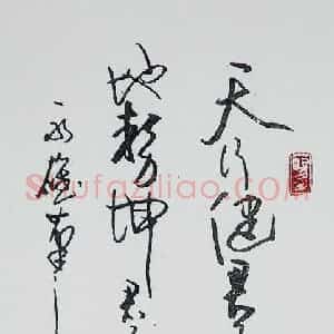 吴永雄 硬笔行书作品《天行健》图片欣赏