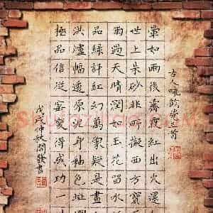 龙开发(成人组 优秀奖)硬笔书法大赛 获奖作品图片欣赏