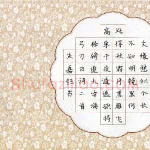 朱嘉钰(少儿组 8岁 银奖)硬笔书法大赛 获奖作品图片欣赏