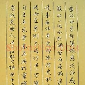 金熙俊 硬笔楷书作品《林散之论书诗》图片欣赏