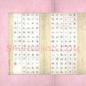 李小雨 硬笔楷书作品《咏春诗十七首》图片欣赏
