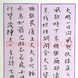 金熙俊 硬笔楷书作品《李白诗二首》图片欣赏