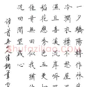 李伟 硬笔楷书作品《诗一首》图片欣赏