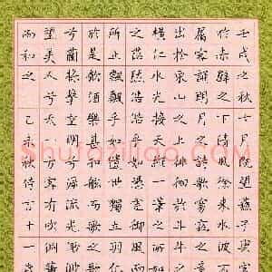 侍言(少儿组 11岁 银奖)硬笔书法大赛 获奖作品图片欣赏
