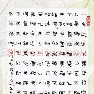张林华(成人组 优秀奖)硬笔书法大赛 获奖作品图片欣赏