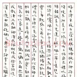 杨军硬笔楷书洛神赋  硬笔作品图片欣赏下载