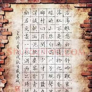 盛书城(成人组 优秀奖)硬笔书法大赛 获奖作品图片欣赏