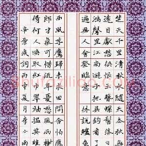 李小雨 硬笔楷书作品《辛弃疾词》图片欣赏