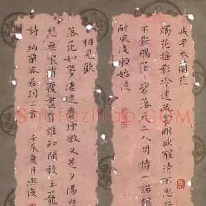 金熙俊 硬笔楷书作品《纳兰容若词二首》图片欣赏