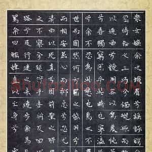 虞悦(少儿组 10岁 银奖)硬笔书法大赛 获奖作品图片欣赏