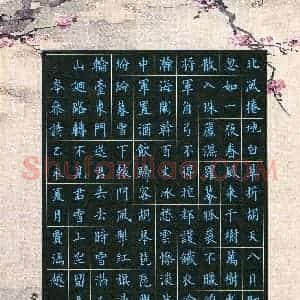 贾涵越(少儿组 14岁 银奖)硬笔书法大赛 获奖作品图片欣赏