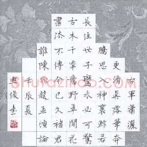 金熙俊 硬笔楷书作品《赵孟頫书论》图片欣赏