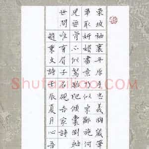 金熙俊 硬笔楷书作品《赵秉文诗》图片欣赏
