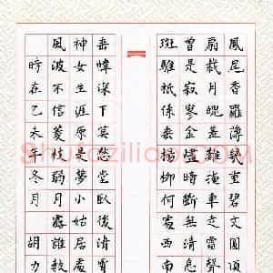 胡力文(少儿组 11岁 银奖)硬笔书法大赛 获奖作品图片欣赏
