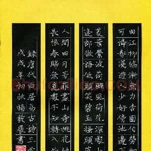 杨发展(成人组 优秀奖)硬笔书法大赛 获奖作品图片欣赏