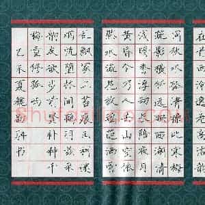 魏劭聃(少儿组 11岁 银奖)硬笔书法大赛 获奖作品图片欣赏