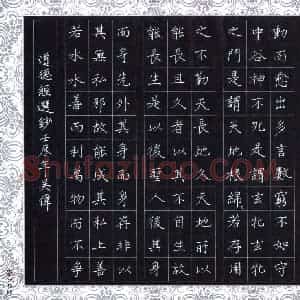 吴伟 硬笔楷书作品《道德经选抄》图片欣赏