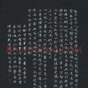 潘志法(成人组 优秀奖)硬笔书法大赛 获奖作品图片欣赏