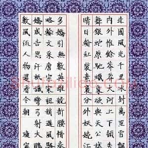 杨瑷宁(少儿组 12岁 银奖)硬笔书法大赛 获奖作品图片欣赏