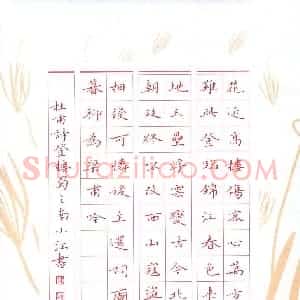 邓小江(成人组 银奖)硬笔书法大赛 获奖作品图片欣赏