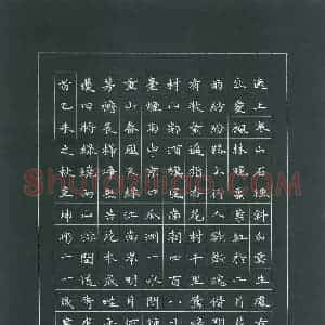 韦坤彤(少儿组 11岁 银奖)硬笔书法大赛 获奖作品图片欣赏