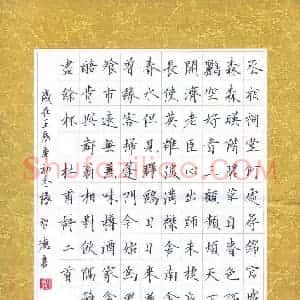 张智德 硬笔楷书作品《杜甫诗二首》图片欣赏