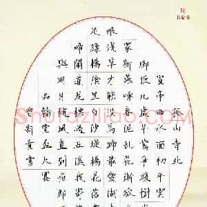 曾新童(少儿组 12岁 银奖)硬笔书法大赛 获奖作品图片欣赏
