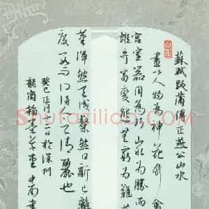 刘中南 硬笔行书作品《苏轼题跋》图片欣赏