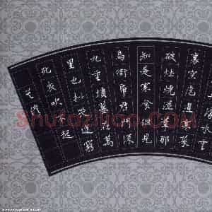 吴伟 硬笔行书作品《苏轼寒食诗》图片欣赏