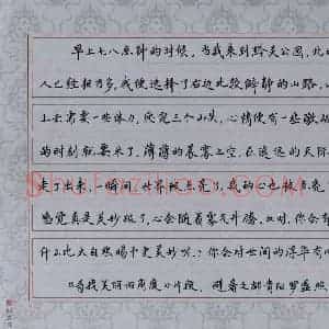 罗盛照 硬笔楷书作品《寻找美丽的角度》图片欣赏
