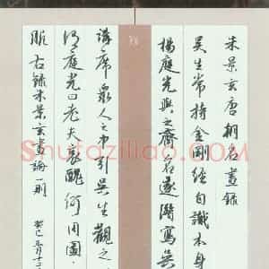 刘中南 硬笔行书作品《朱景玄画论一则》图片欣赏