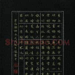 龙圣才(成人组 优秀奖)硬笔书法大赛 获奖作品图片欣赏