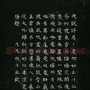 童亚钦(成人组 优秀奖)硬笔书法大赛 获奖作品图片欣赏