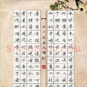 秦志强 硬笔楷书作品《爱莲说》图片欣赏