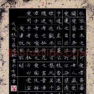 蔡波锋(成人组 优秀奖)硬笔书法大赛 获奖作品图片欣赏