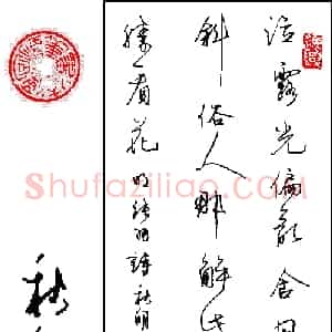 陈秋明 硬笔楷书作品《张羽诗》图片欣赏