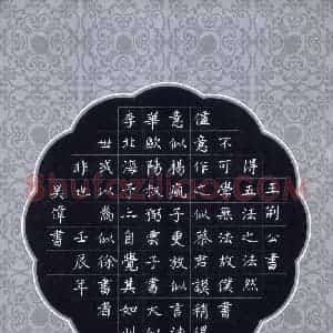 吴伟 硬笔楷书作品《东坡书论》图片欣赏